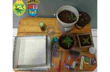 Laranjeiras - Homem é preso por fornecer drogas à mãe e por portar maconha